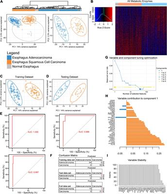 Metabolic and Immunological Subtypes of Esophageal Cancer Reveal Potential Therapeutic Opportunities